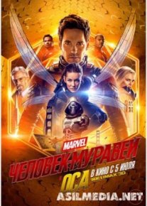 Человек-муравей и Оса