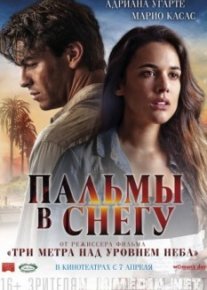 Пальмы в снегу