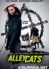 Уличные коты