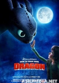 How to Train Your Dragon