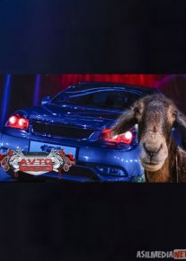 Avto tuning Zo'rtv / Auto Tuyning Zortv barcha qismlar / Hamma sonlar 1,2,3,4,5,6,7-sonlar