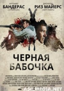 Черная бабочка