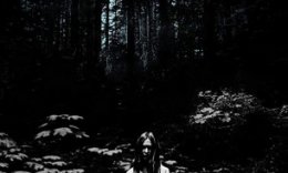 Husktak ovozi Uzbek tilida 2020 O'zbek tarjima tas-ix skachat