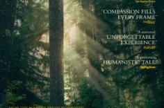 Не оставляй следов