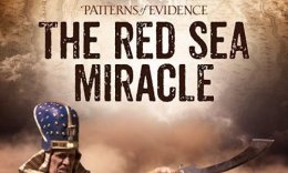 Dalillarning namunalari: Qizil dengiz mo'jizasi Uzbek tilida 2021 yil premyera kino O'zbekcha tarjima kino HD