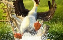 Папа-мама гусь (Смотреть Tas-ix)