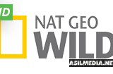 Nat Geo Wild HD
