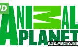 Animal Planet HD