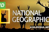 National Geographic HD
