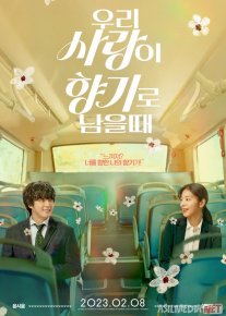 Muhabbat ifori / Sevgi ifori Premyera Koreya filmi Uzbek tilida O'zbekcha 2023 tarjima kino Full HD tas-ix skachat