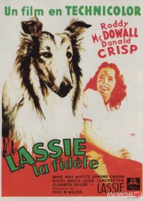 Lessi Uyga Qayt Uzbek tilida 1943 O'zbekcha tarjima kino HD