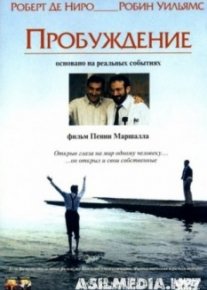 Пробуждение