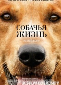 Собачья жизнь