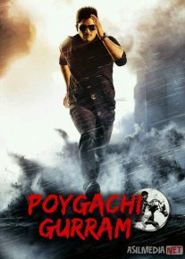 Poygachi Gurram / Shamoldan o‘zib Hind kino 2014 Uzbek tilida O'zbekcha tarjima kino Full HD tas-ix skachat