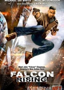 Восхождение Сокола / Falcon Rising 2014 Tas-IX skachat
