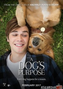 Itning Hayoti 1 / Itning maqsadi 1 Uzbek tilida 2017 O'zbekcha tarjima kino HD