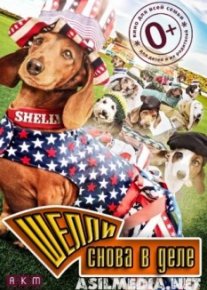 Шелли снова в деле