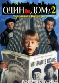 Один дома 2