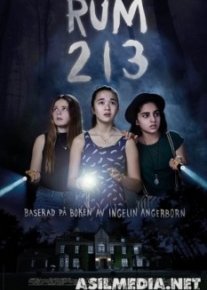 Комната 213
