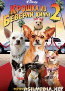 Крошка из Беверли-Хиллз 2