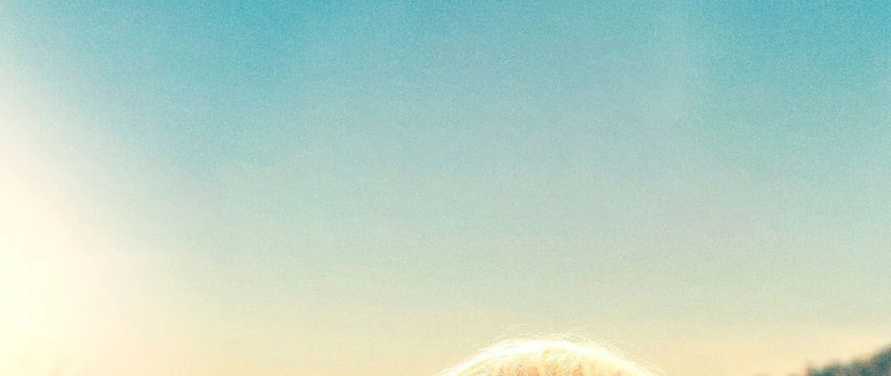 Qurollangan qiz / Drayvdagi bola 2025 Uzbek tilida O'zbekcha tarjima kino Full HD tas-ix skachat