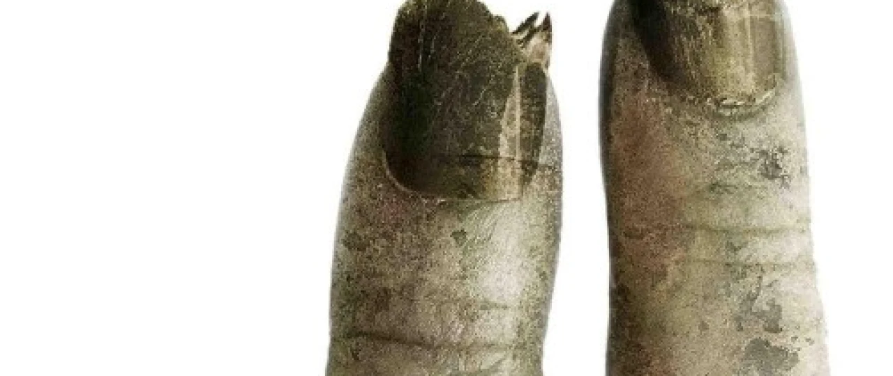 Arra 2 / Pila 2 2005 O'zbek tilida Uzbekcha tarjima Ujas Qo'rqinchli kino HD skachat