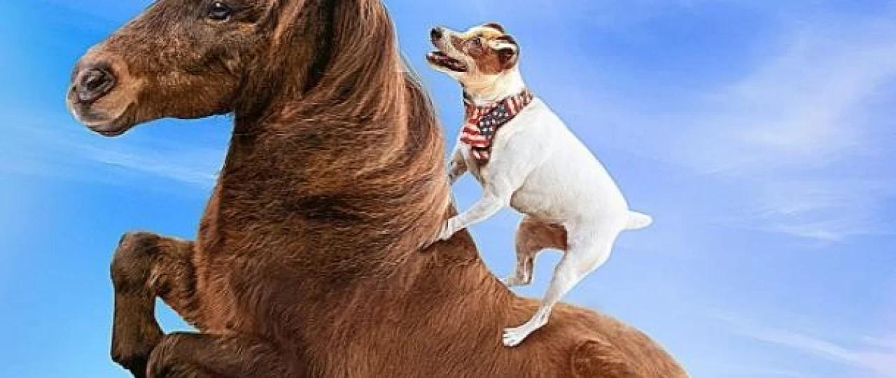 Dolli va Sapanki sarguzashtlari Uzbek tilida O'zbekcha 2019 tarjima kino Full HD tas-ix skachat