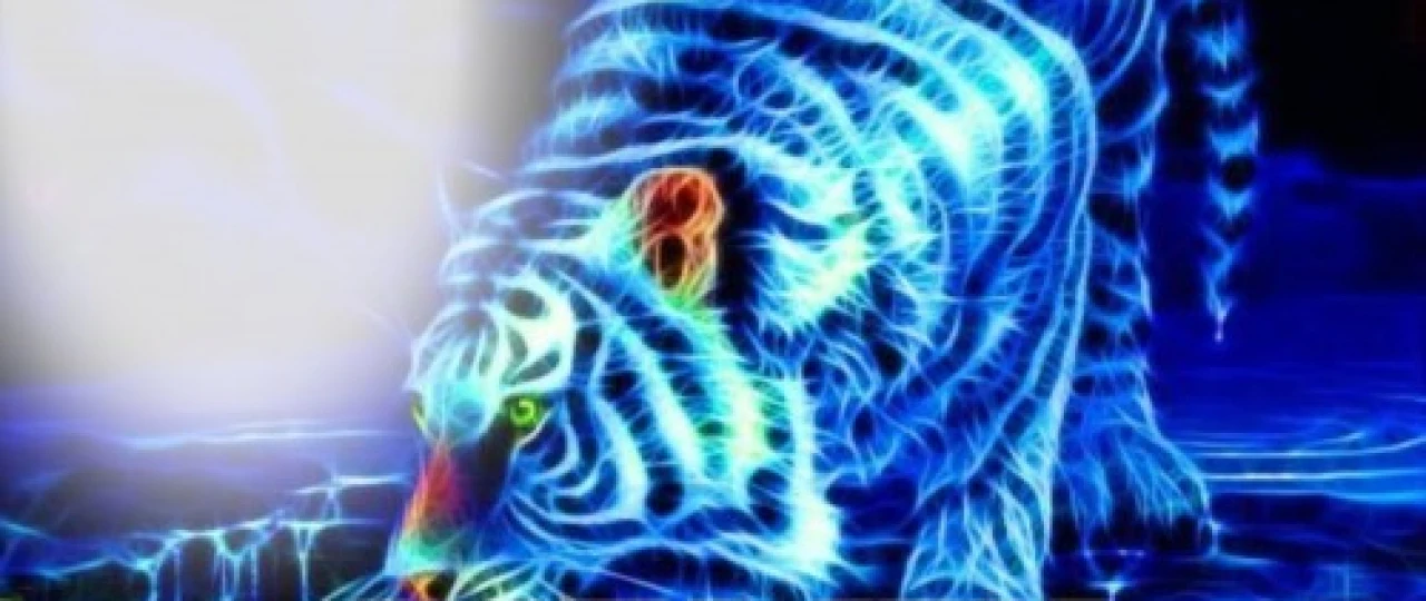 Moviy yo'lbars Uzbek tilida 2012 O'zbekcha tarjima kino HD