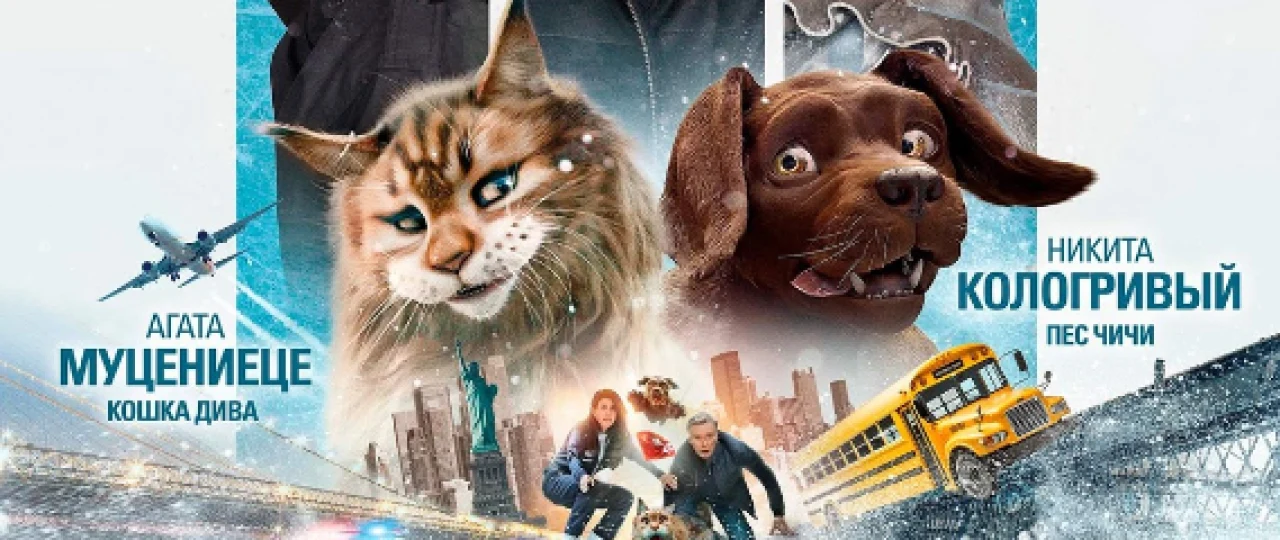 Mushuk va it / G'aroyib it va mushuk Fransiya filmi Uzbek tilida O'zbekcha 2024 tarjima kino Full HD tas-ix skachat