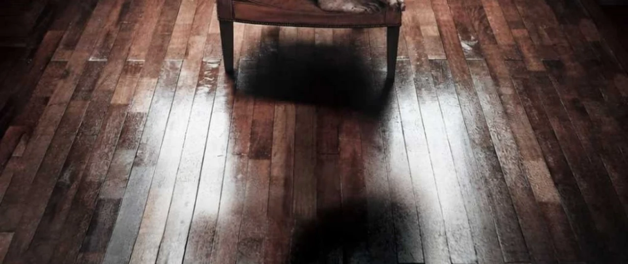 Xotiralar kechasi / Unutilgan 2017 Uzbek tilida O'zbekcha tarjima kino Full HD tas-ix skachat