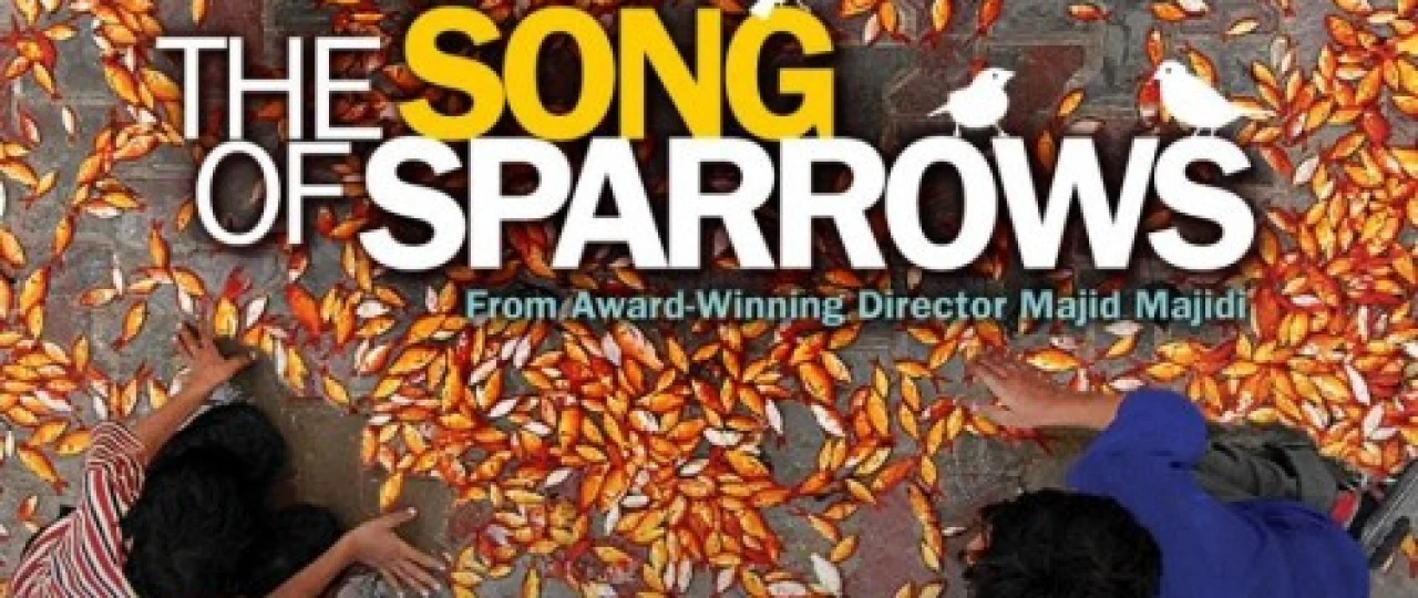 Chumchuqlar qo'shig'i Eron filmi Uzbek tilida 2008 HD O'zbek tarjima