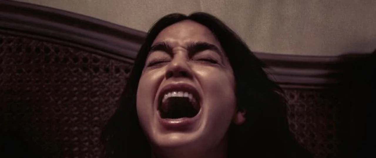 O'tmishning arvohlari / Yotoqda dam olish ujas kino Uzbek tilida 2022 O'zbekcha tarjima film Full HD skachat