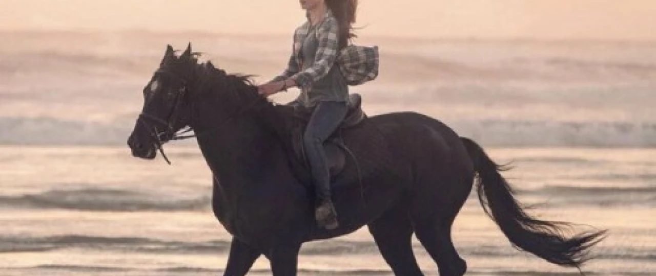 Qora Tulpor / Qora Go'zal / Joziba Uzbek tilida 2020 O'zbekcha tarjima kino HD