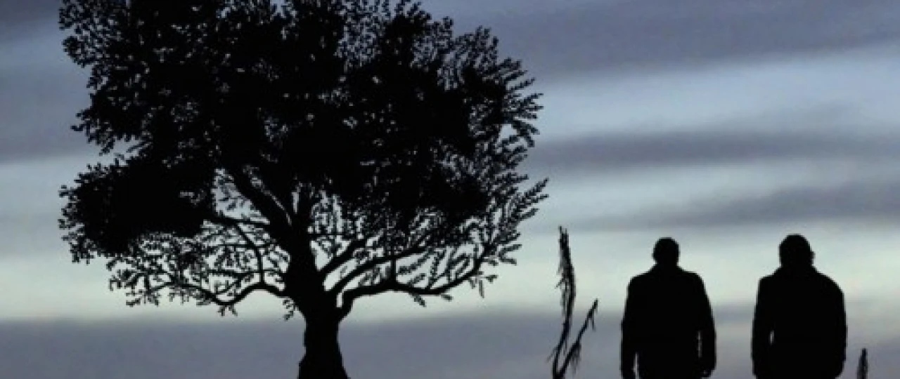 Nuh Tepaligi / Nux Balandligi Turk kino Uzbek tilida 2019 kino HD