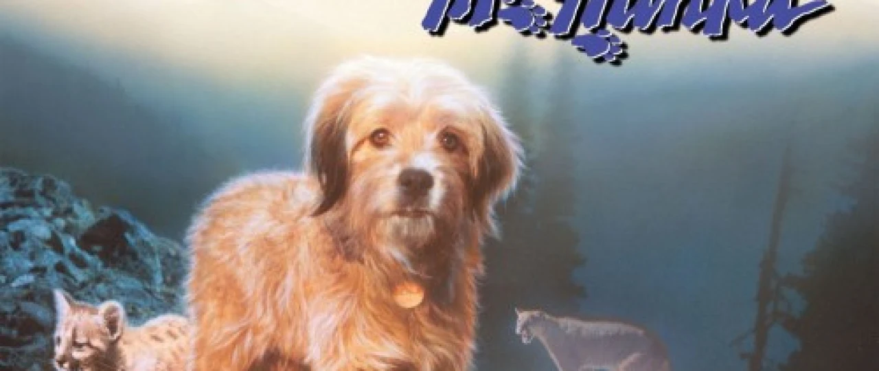 Benji adashib qoldi / yo'qoldi Uzbek tilida 1987 O'zbekcha tarjima kino HD