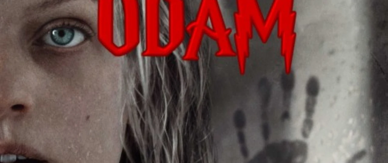 Ko'rinmas odam Uzbek tilida 2020 O'zbek tarjima tas-ix skachat