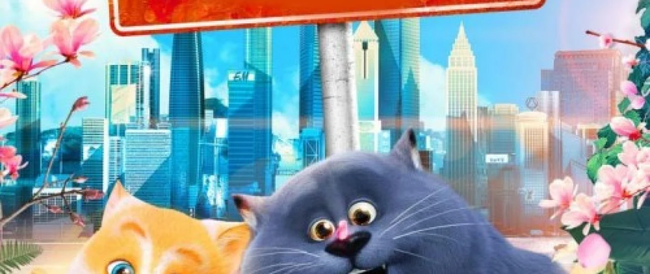 Mushukchaning sarguzashtlari / Orzumand mushukcha / Qochoq mushukcha Uzbek tilida multfilm 2018 O'zbek tarjima kino HD