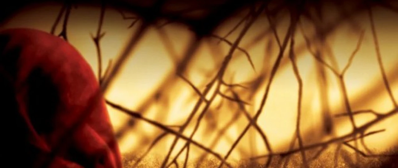 Dahshatli o'rmon ujas kino Uzbek tilida 2004 O'zbekcha tarjima film Full HD skachat