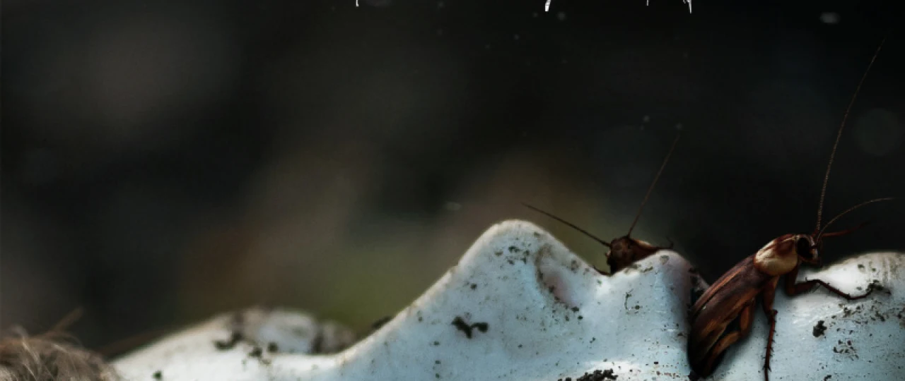 Кукла 2 - Брамс Tas-ix skachat