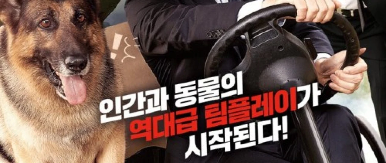 Миссия- Спасти панду 2020 Tas-ix skachat