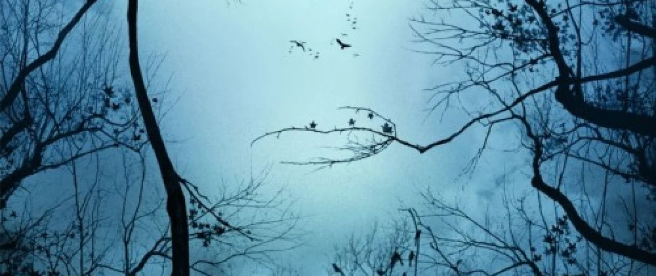 Bashorat / Ogohlantirish Uzbek tilida 2007 O'zbekcha tarjima kino HD