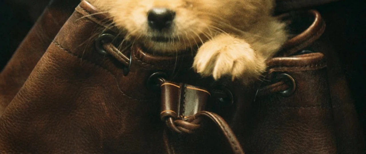 Mening Hatikoyim Uzbek tilida 2023 O'zbekcha tarjima kino HD