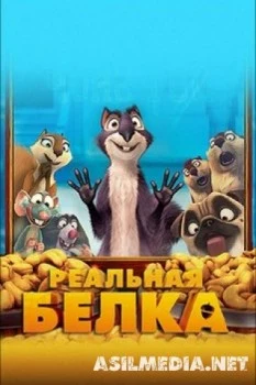 Реальная белка