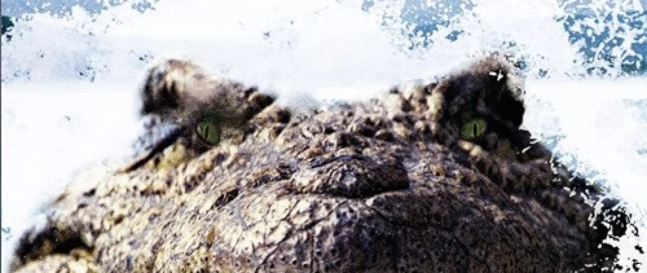 Timsoh 2 / Qo'rquv ko'li Uzbek tilida 2007 O'zbekcha tarjima film Full HD skachat