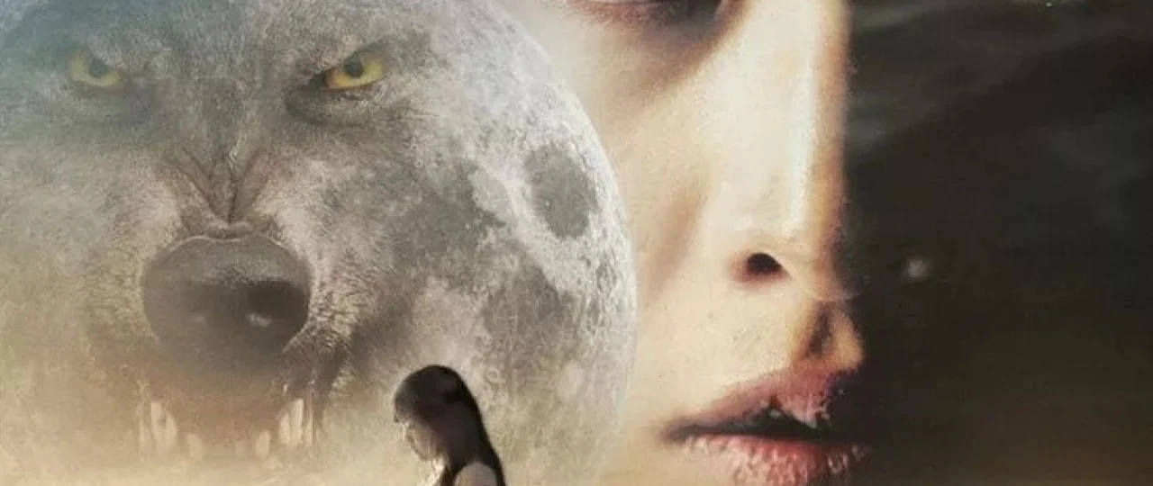 Bo'ri bola Janubiy Koreya filmi Uzbek tilida 2012 O'zbekcha tarjima kino HD