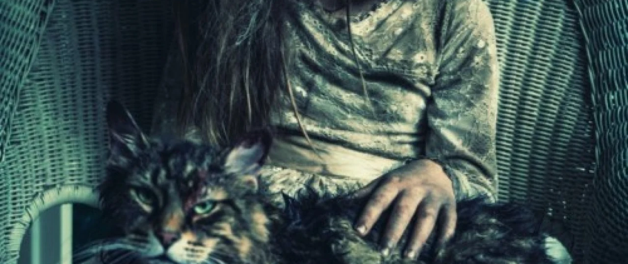 Uy Hayvonlari Qabristoni / Hayvonlar Mozori Uzbek tilida 2019 yil premyera kino O'zbekcha tarjima kino HD