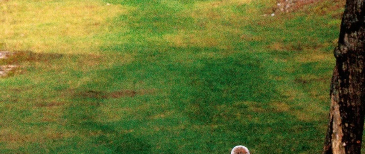 Uzoq sayr / Uzoq safar / Uzoq yurish Yaponiya filmi 2006 Uzbek tilida O'zbekcha tarjima kino Full HD tas-ix skachat