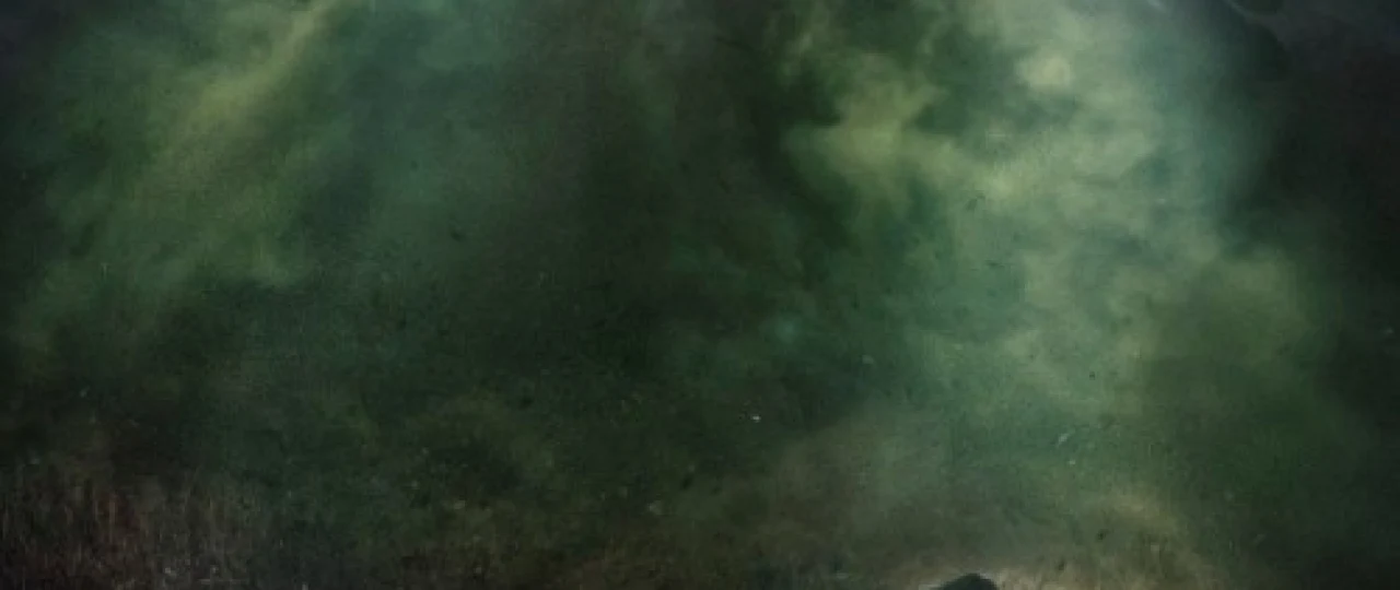 Kloverfild 10 Uzbek tilida 2016 O'zbekcha tarjima film Full HD skachat