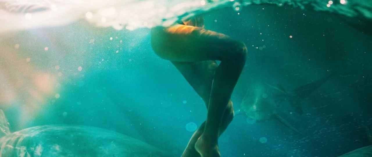 Xavfli hayvonlar / Qo'rqinchli maxluqlar / Yirtqich mavjudotlar Premyera 2025 Uzbek tilida O'zbekcha tarjima kino Full HD tas-ix skachat