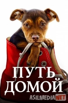 Uyga yo'l / Путь домой HD tas-ix skachat download